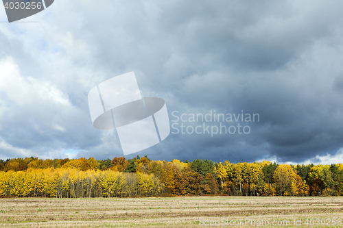 Image of Nature in autumn season