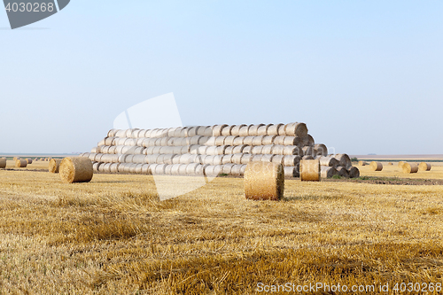 Image of stack of straw in the field