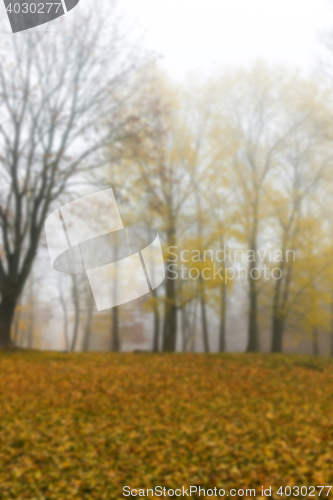 Image of Autumn Park, overcast