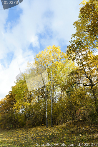Image of Nature in autumn season