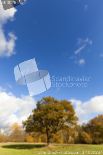 Image of Nature in autumn season