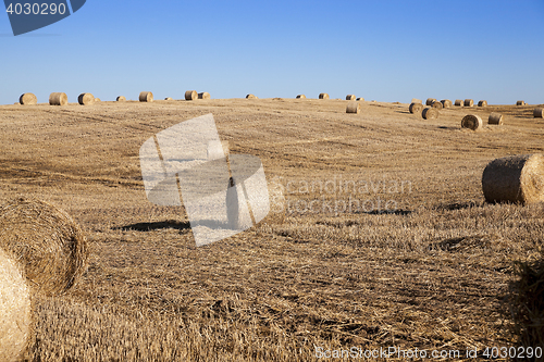 Image of stack of straw in the field