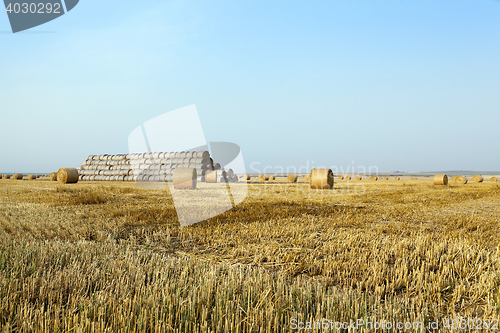 Image of stack of straw in the field