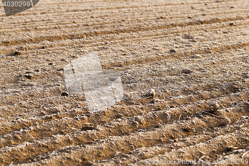 Image of plowed land, frost