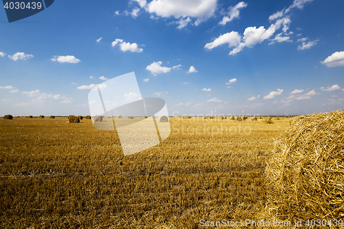 Image of field after harvest.