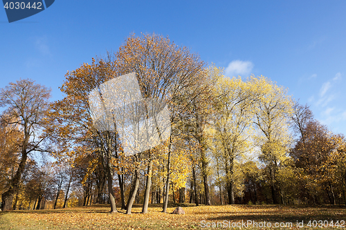 Image of autumn foliage , the sky,