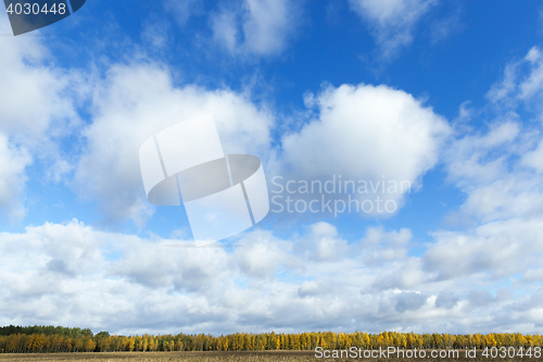Image of Nature in autumn season