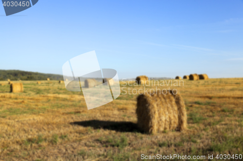 Image of stack of wheat straw