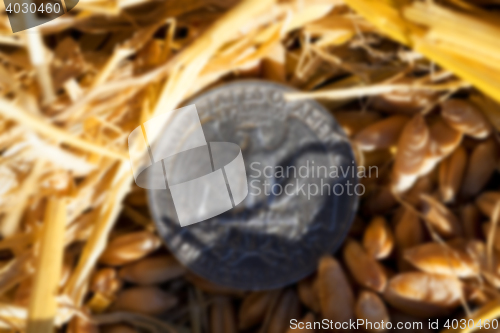 Image of coin in the straw