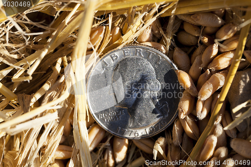 Image of coin in the straw