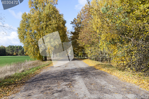 Image of road in the autumn season