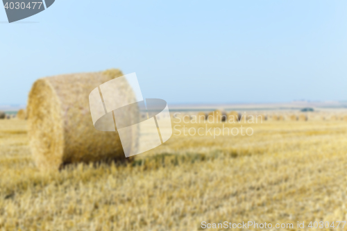 Image of stack of straw in the field