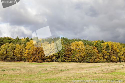 Image of Nature in autumn season