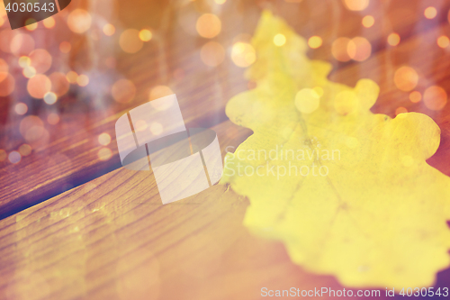 Image of close up of yellow oak tree autumn leaf on wood