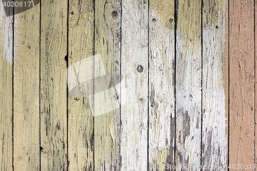 Image of Wooden Wall Texture