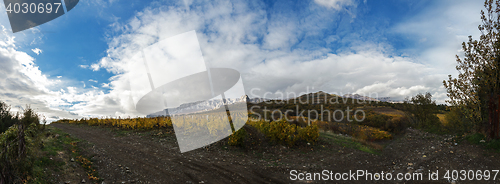 Image of Vineyard on a background of mountains and sky