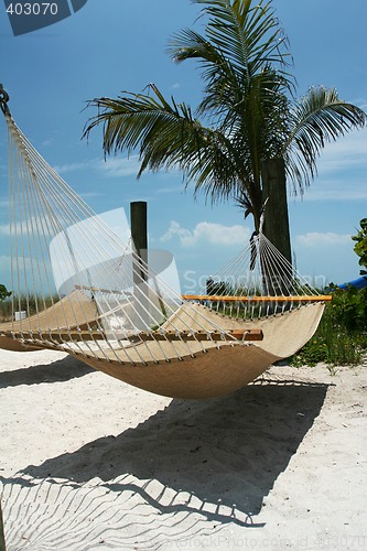 Image of beach hammock