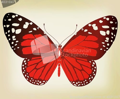 Image of beauty butterfly. 3D illustration. Vintage style.