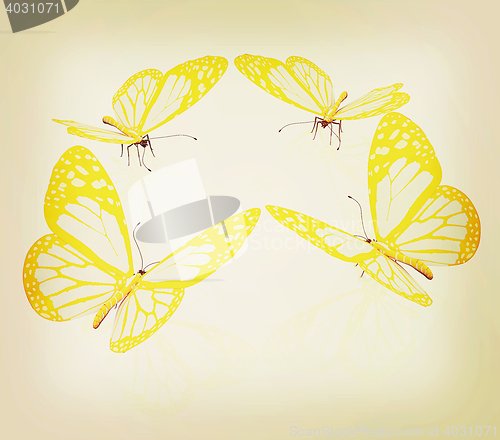 Image of beauty butterflies. 3D illustration. Vintage style.