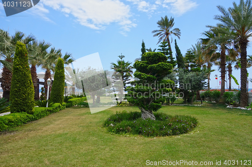 Image of Beach hotel garden