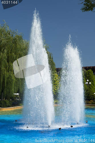 Image of Fountain in formal park