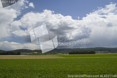Image of Green field and blue cloudy sky