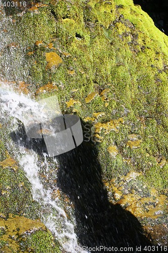 Image of woman showering