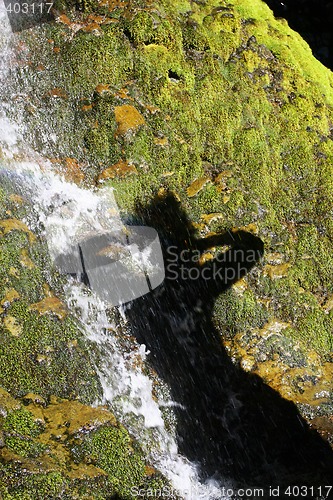Image of shadow shower