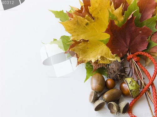 Image of Autumn bouquet