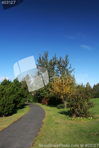 Image of autumn path