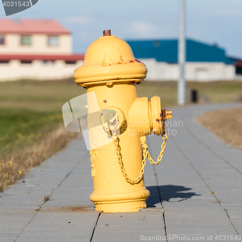 Image of Yellow fire hydrant on a city sidewalk