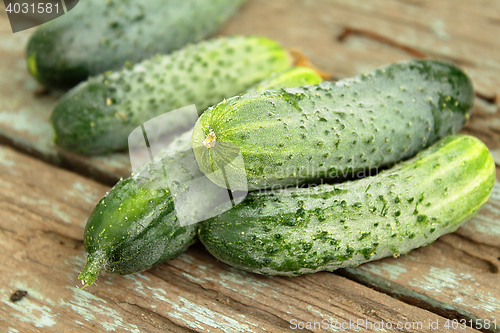 Image of Freshly picked cucumbers