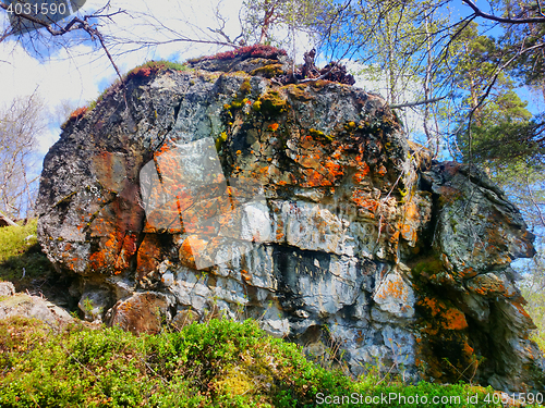 Image of Outlier. Huge stone in Northern woods where there are trees