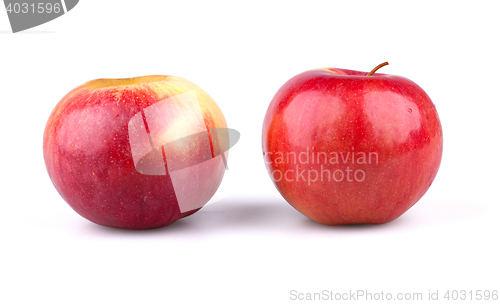 Image of Apples