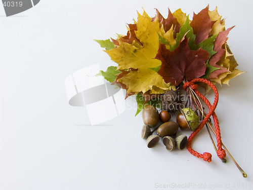 Image of Autumn leaves bouquet