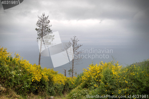 Image of Hiking in Cinque Terre nature trail