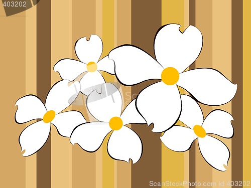 Image of White flowers background