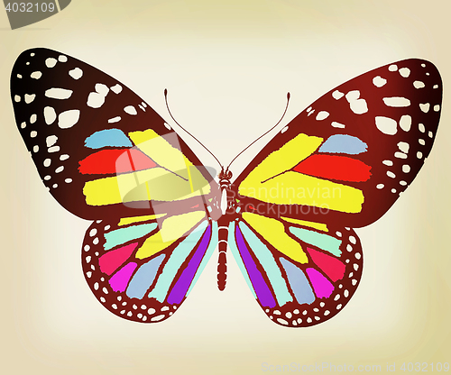 Image of beauty butterfly. 3D illustration. Vintage style.