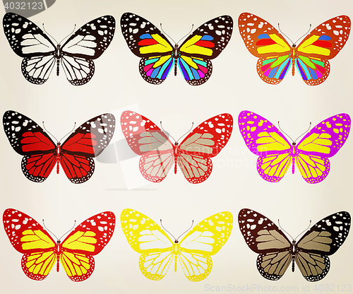 Image of Butterflies botany set. 3D illustration. Vintage style.
