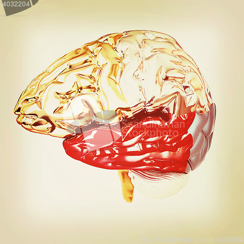Image of Colorfull human brain. 3D illustration. Vintage style.