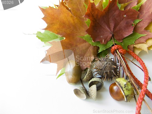 Image of Colorful autumn gifts