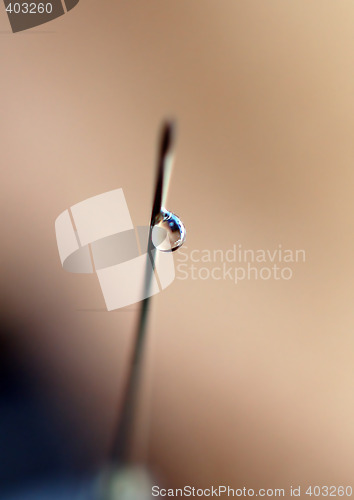 Image of syringe close-up, focus on the drop