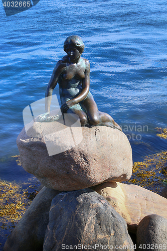 Image of Sculpture of The Little Mermaid Copenhagen, Denmark