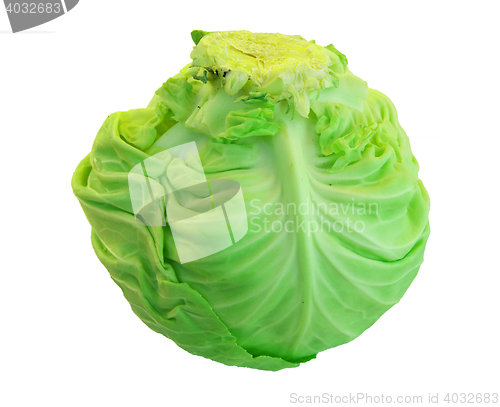 Image of Cabbage