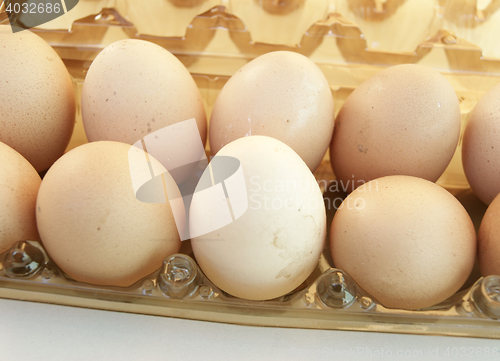 Image of Egg in box