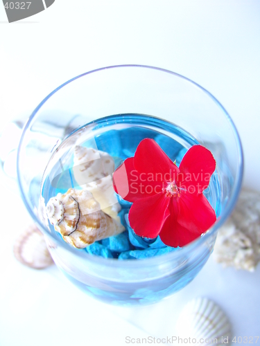 Image of Red flower on marine background