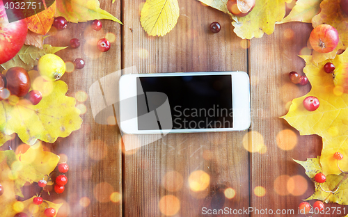 Image of smartphone with autumn leaves, fruits and berries