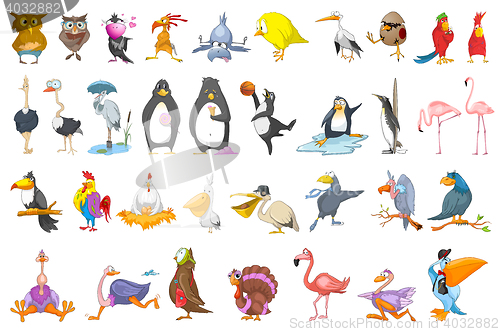 Image of Vector set of various birds illustrations.