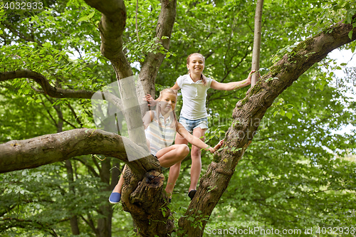Image of two happy girls climbing up tree in summer park