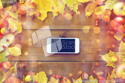 Image of smartphone with autumn leaves, fruits and berries